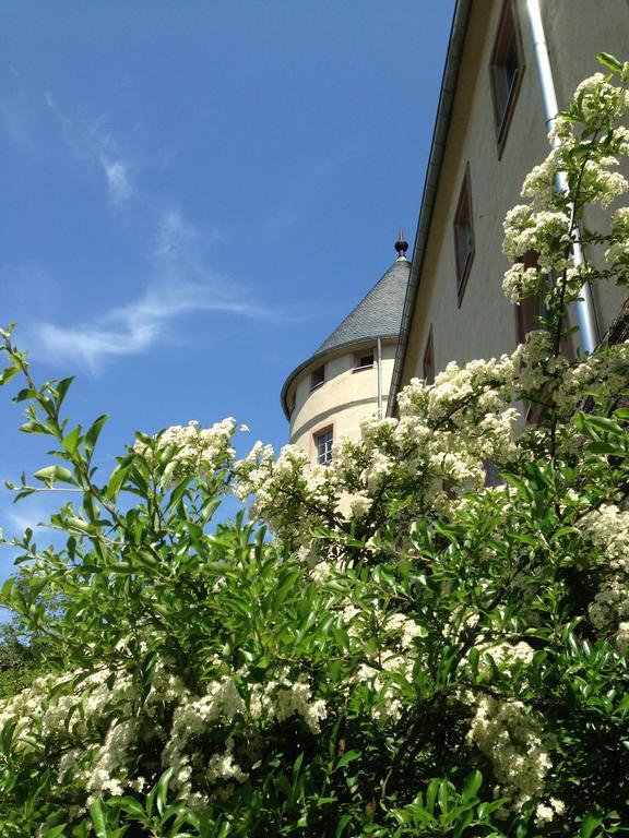 Hotel Ev.Familienferien-Und Bildungsstaette Ebernburg Bad Münster am Stein-Ebernburg Zewnętrze zdjęcie