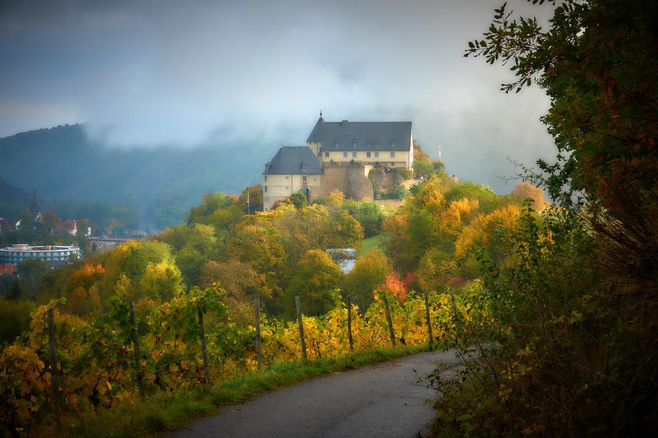 Hotel Ev.Familienferien-Und Bildungsstaette Ebernburg Bad Münster am Stein-Ebernburg Zewnętrze zdjęcie