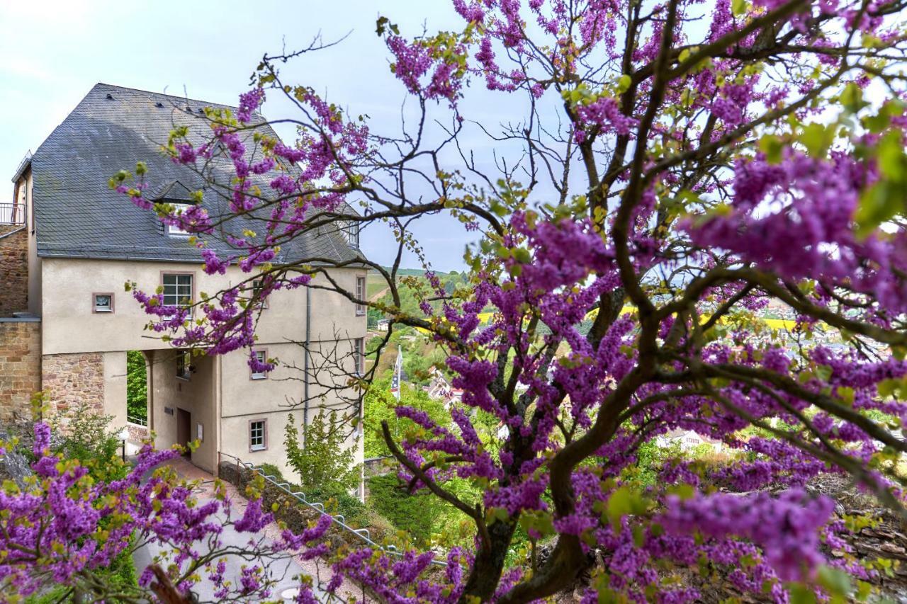 Hotel Ev.Familienferien-Und Bildungsstaette Ebernburg Bad Münster am Stein-Ebernburg Zewnętrze zdjęcie